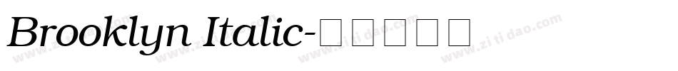 Brooklyn Italic字体转换